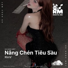 Nâng Chén Tiêu Sầu - RinV (Reup)