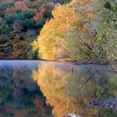 Equanimity and The Art of Letting Go (Retreat Dharma Talk)