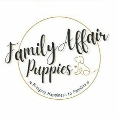 Stream episode Adorable Shih Tzu Puppies For Sale Find Your Perfect