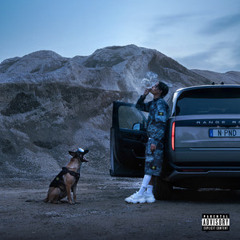 Boston x Faneto Hard