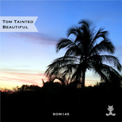 Tom Tainted - Beautiful (Extended Mix)