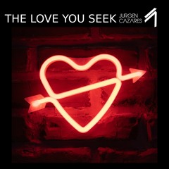 THE LOVE YOU SEEK