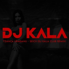 Tzanca Uraganu - Seicii (Dj Kala Club Remix)