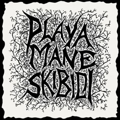 PlayaManeSkibidi