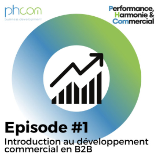 Episode #001: Introduction au développement commercial en B2B