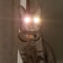Eyes open wide