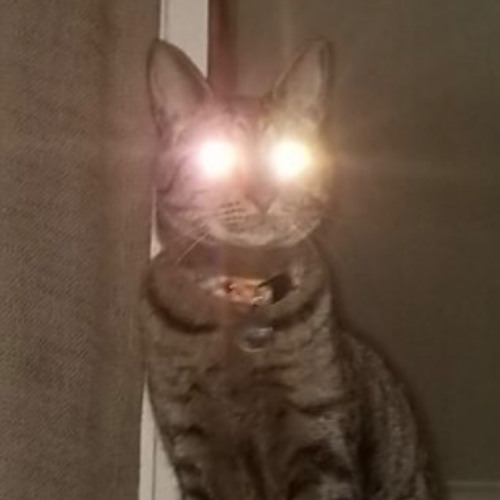 Eyes open wide