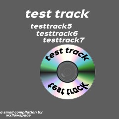 Test Track 7