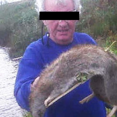 Mutant rats