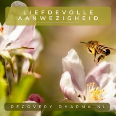 Liefdevolle Aanwezigheidsmeditatie (Recovery Dharma NL)