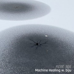 Machine Healing w. biju [18.12.25]