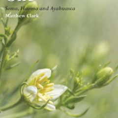 free EPUB 💑 The Tawny One: Soma, Haoma and Ayahuasca (Muswell Hill Press) by  Matthe