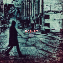 moshpit! (noevdv)
