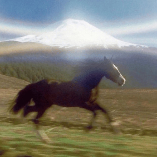 Flow State (Prod. WxSTxRN)