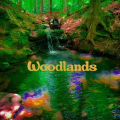 Woodlands (Prod. Sour)