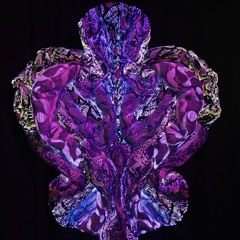 Tamandua - Dance is the answer