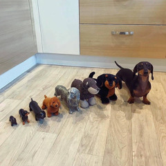 Meep Meep, Candy Wagon