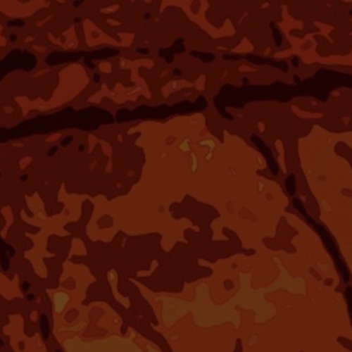 Rừng Olive Vĩnh Cửu