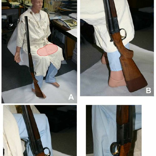 12 Gauge