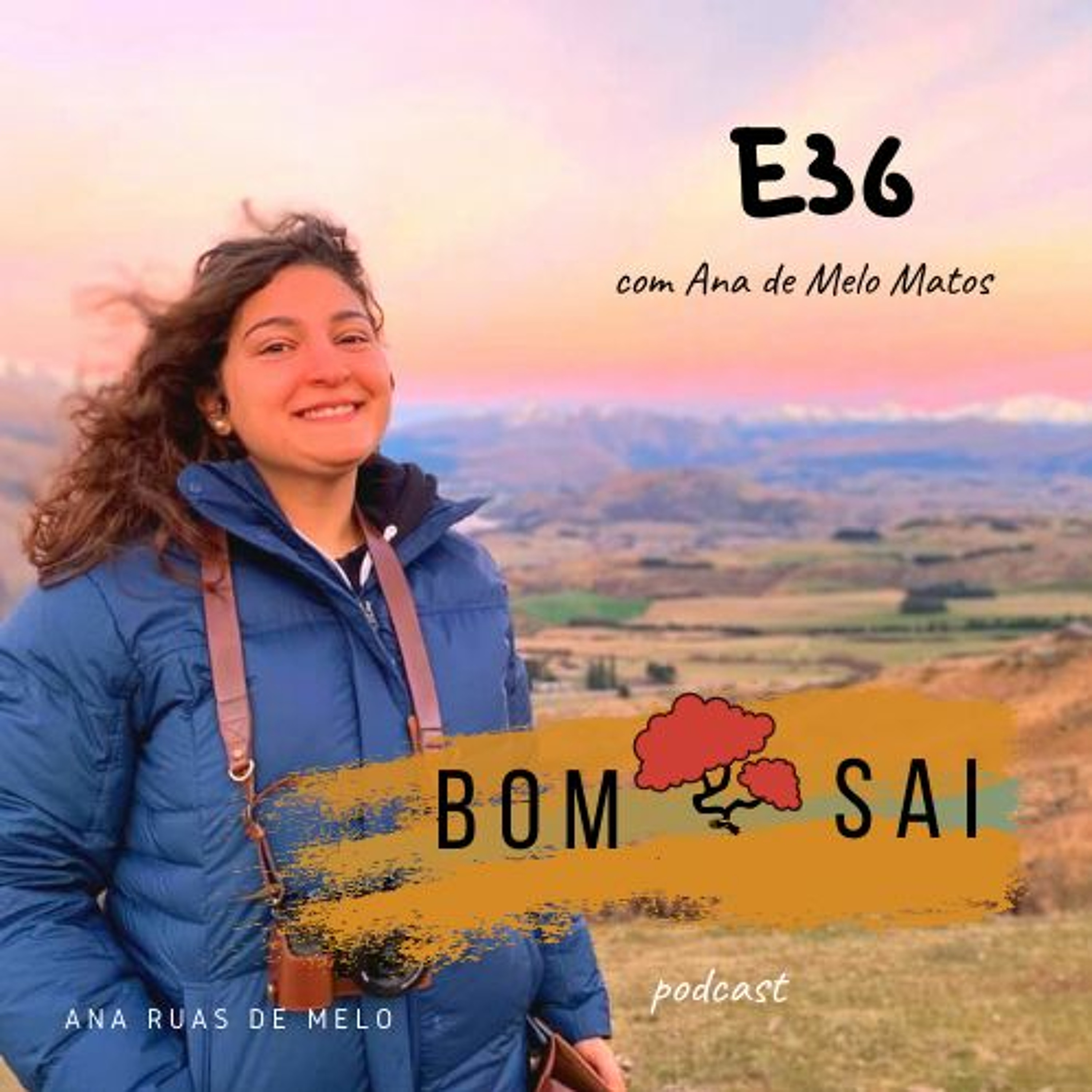 Episódio 36 - Ser emigrante na Nova Zelândia com Ana de Melo Matos episode artwork
