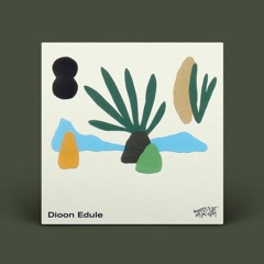 N'Pot - Dioon Edule (Original Mix) [Words Not Enough]