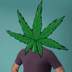 p0t He@d