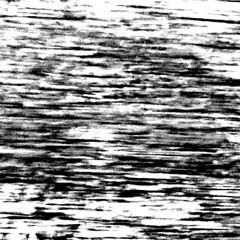 F(r)ictive Frequencies - Winona Lin and Frank Live