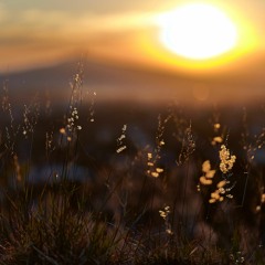 Daniel Andrade - Awake