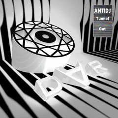 ANTIDJ -  Gut