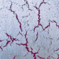 REC° - Swarm [145bpm]