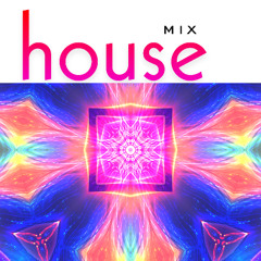 HOUSE MIX 8