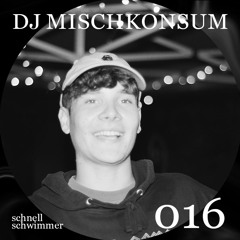 schnellschwimmer 016 DJ MISCHKONSUM