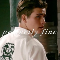 mrperfectlyfine