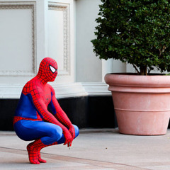 Spider man-Jules.Rnp