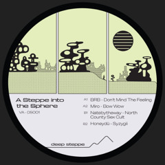Premiere: A1 - Big Red Button - Don't Mind The Feeling [DS001]