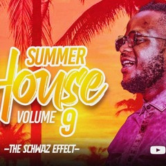 The Schwaz Effect Vol 9 (Summer House)