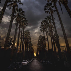 ٣٦٠ // مؤمن عمارة