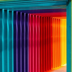 InterAction Collection 2023