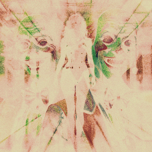 If I Take My Life In the Forest....Does Anyone Hear It-