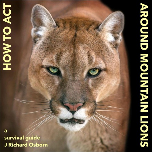 stream-how-to-act-around-mountain-lions-from-rosbo-listen-online-for