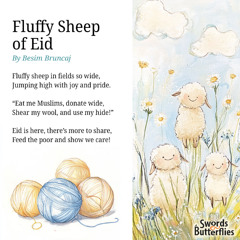 Fluffy Sheep of Eid
