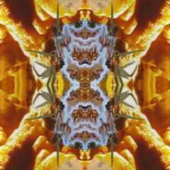Effektgerätetest2