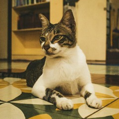 Sex, Drugs & Rock 'n Roll