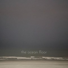 The Ocean Floor