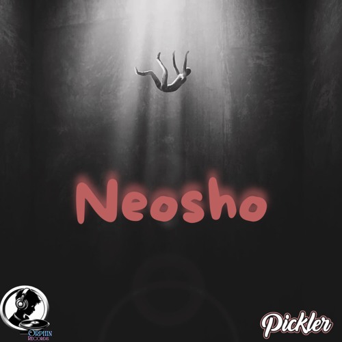 Neosho [Orphin Records]