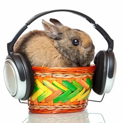 Beatbunny Favorites