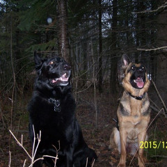 fourth of july got me horny and angry