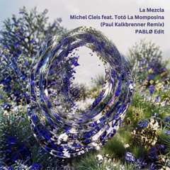 Michel Cleis feat. Totó La Momposina - La Mezcla (Paul Kalkbrenner Remix [PABLØ Edit])