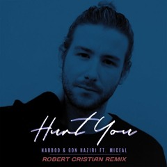 NaBBoo & Gon Haziri Feat. Miceal - Hurt You (Robert Cristian Remix)