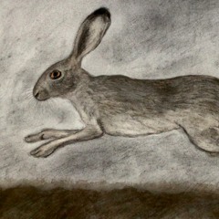 Names of the Hare